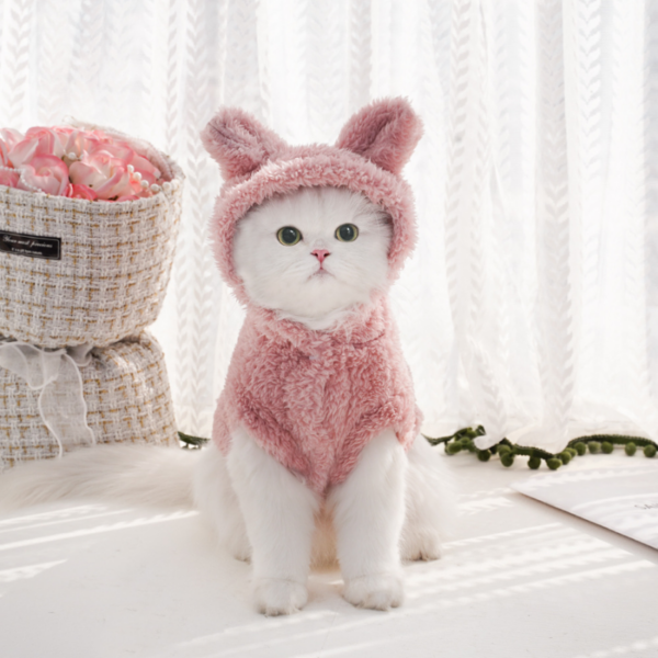 Rabbit Ear  Cotton Velvet Cat Hoodie